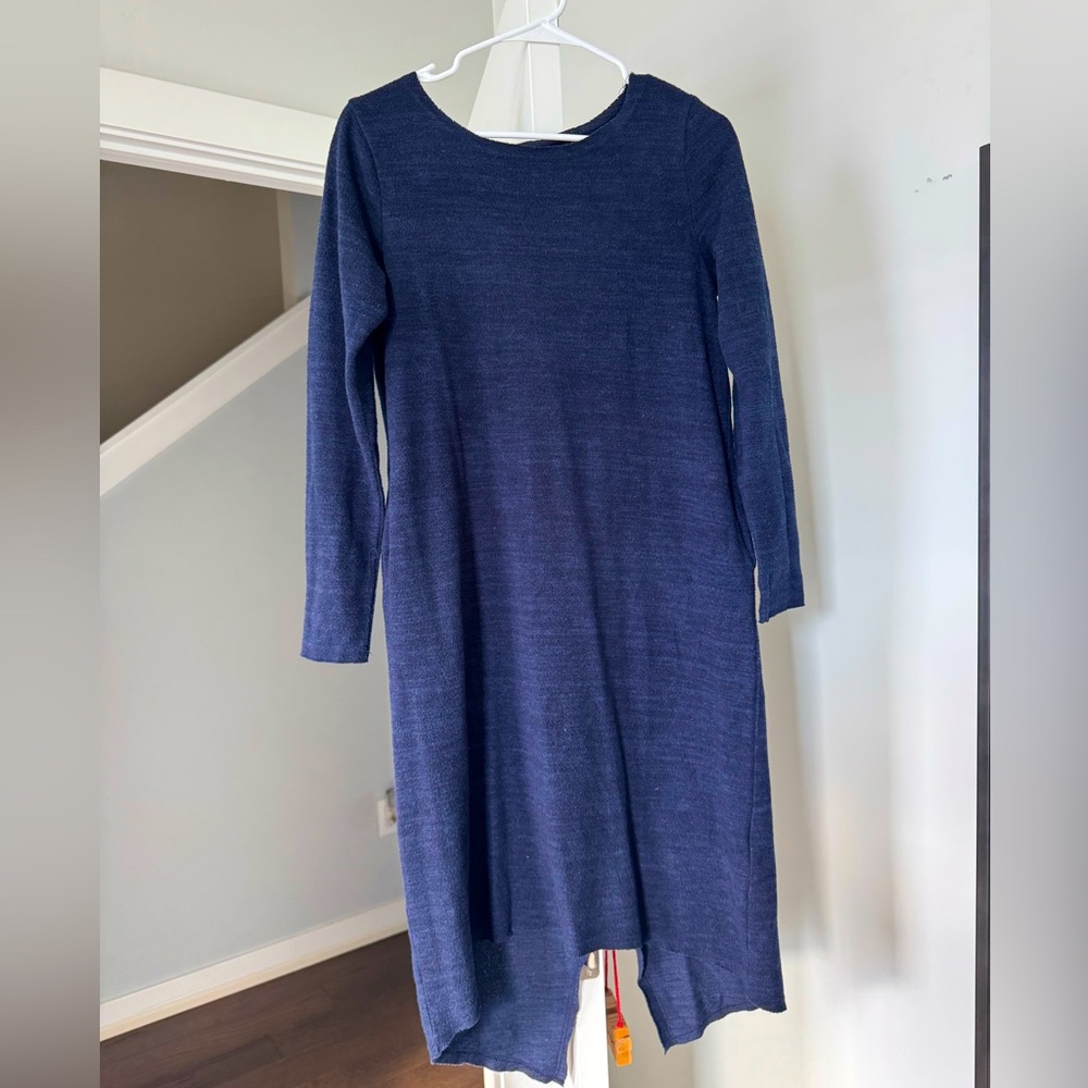 Moth from Anthropologie fleece dress with pockets